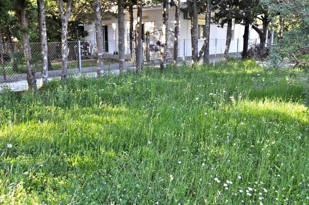 Vila Branka Čanj Exteriör bild
